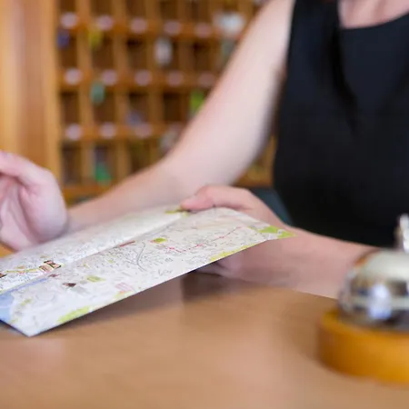 Ammi Massena - Ex Ajoupa Nicea