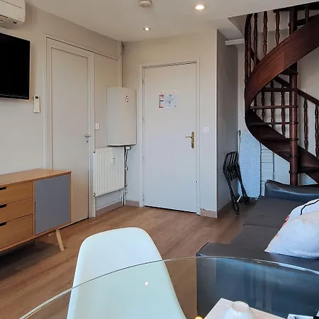 Ammi Massena نيس