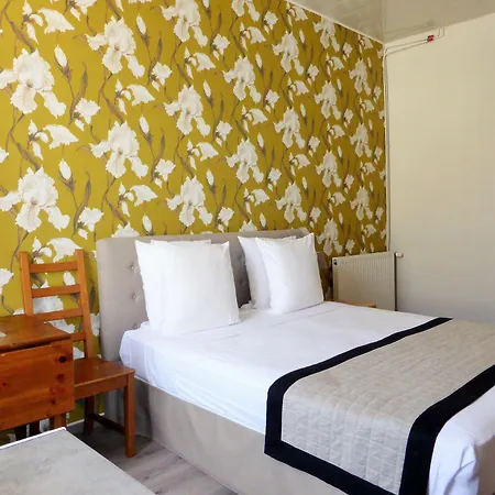 Ammi Massena Hotel Nicea